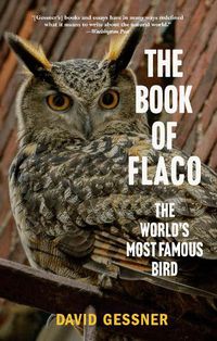 Cover image for The Book of Flaco