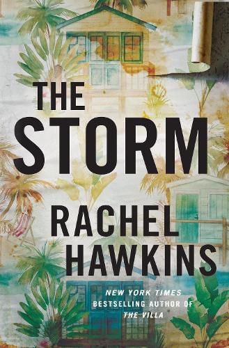 Cover image for The Storm