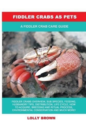 Fiddler Crabs as Pets: A Fiddler Crab Care Guide