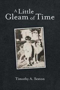 Cover image for A Little Gleam of Time