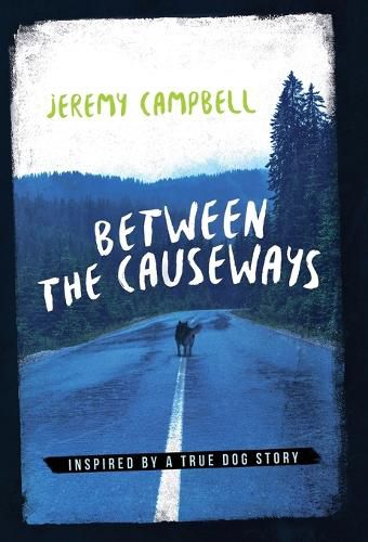 Cover image for Between the Causeways