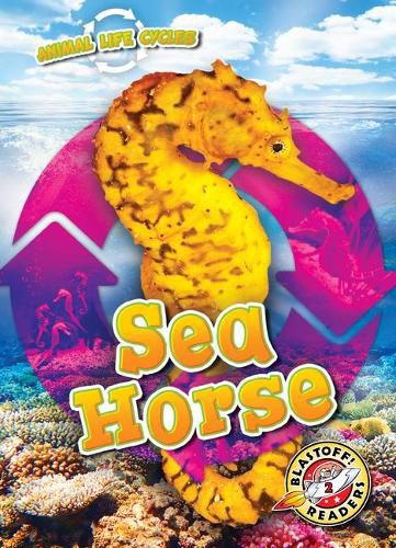 Sea Horse