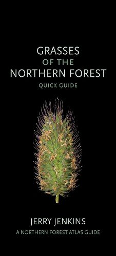 Cover image for Grasses of the Northern Forest: Quick Guide