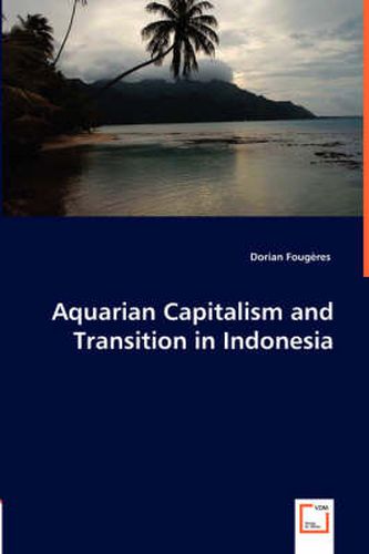 Cover image for Aquarian Capitalism and Transition in Indonesia