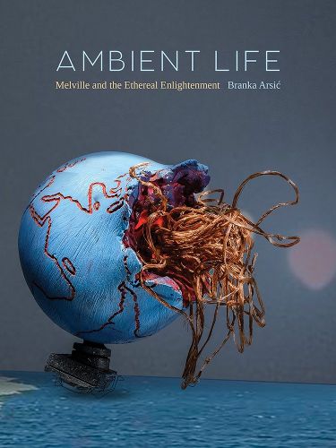 Cover image for Ambient Life Volume 80