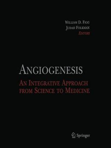 Cover image for Angiogenesis: An Integrative Approach from Science to Medicine