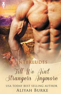 Cover image for Interludes: Till We Ain't Strangers Anymore