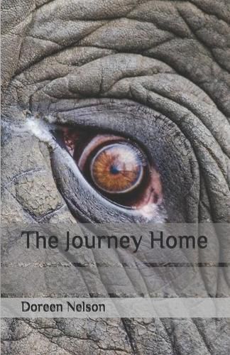 Cover image for The Journey Home