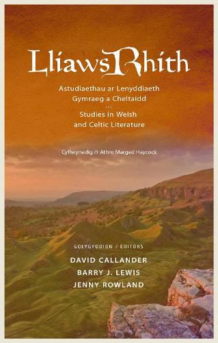 Cover image for Lliaws Rhith
