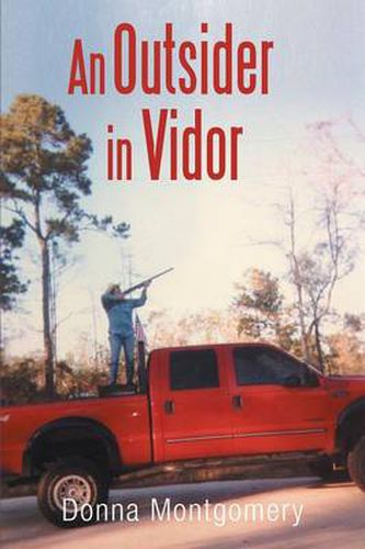 Cover image for An Outsider in Vidor