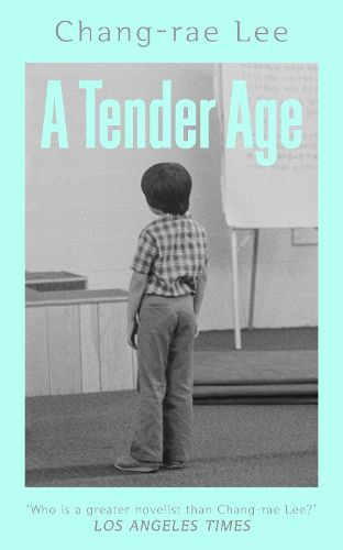 Cover image for A Tender Age