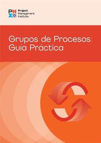 Cover image for Process Groups (Spanish Edition)