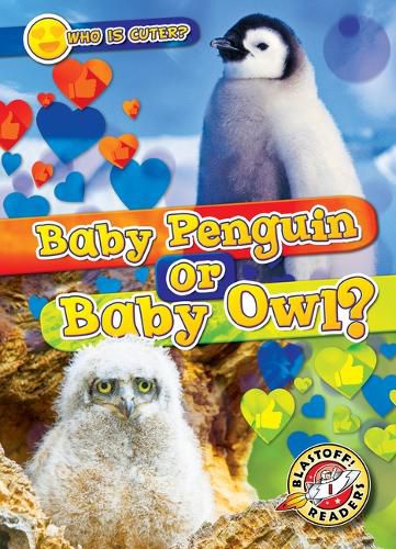 Cover image for Baby Penguin or Baby Owl?