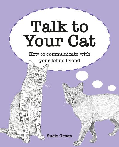 Talk to Your Cat: How to Communicate with Your Feline Friend