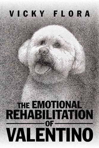 Cover image for The Emotional Rehabilitation of Valentino