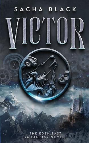 Cover image for Victor