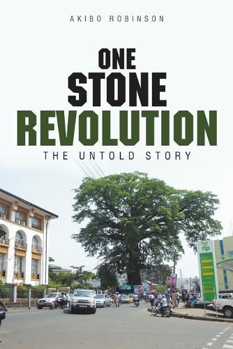 Cover image for One Stone Revolution: The Untold Story