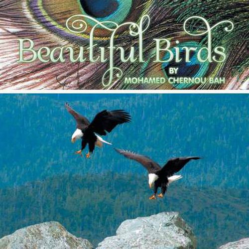 Cover image for Beautiful Birds