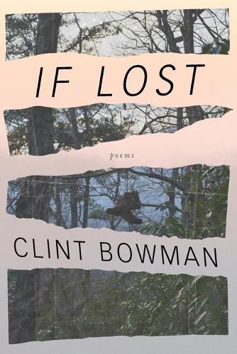 Cover image for If Lost