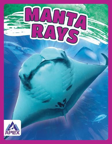 Cover image for Giants of the Sea: Manta Rays