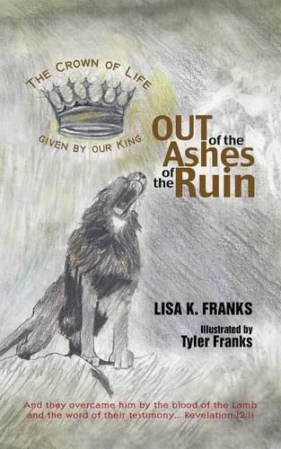 Cover image for Out of the Ashes of the Ruin