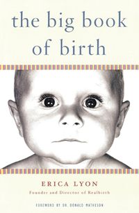 Cover image for The Big Book of Birth