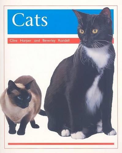 Pets: Cats: Individual Student Edition Orange (Levels 15-16)