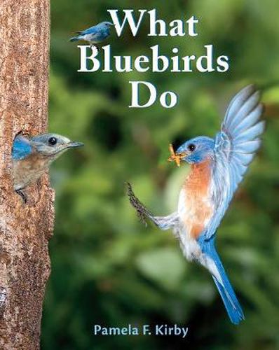 Cover image for What Bluebirds Do