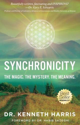 Cover image for Synchronicity: The Magic. The Mystery. The Meaning.