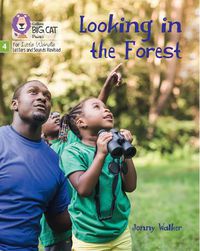 Cover image for Looking in the Forest: Phase 4 Set 2 Stretch and Challenge