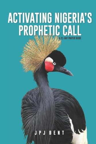 Cover image for Activating Nigeria's Prophetic Call