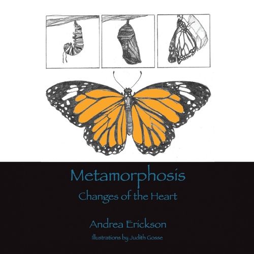 Cover image for Metamorphosis