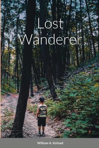 Cover image for Lost wanderer