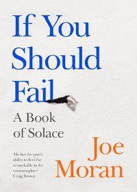 Cover image for If You Should Fail: A Book of Solace