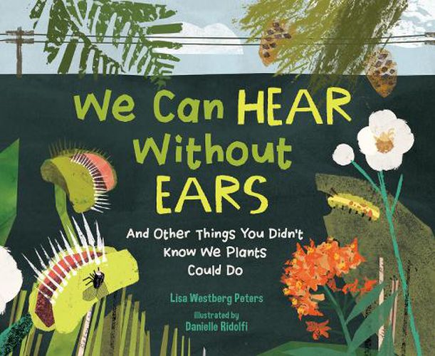 Cover image for We Can Hear Without Ears
