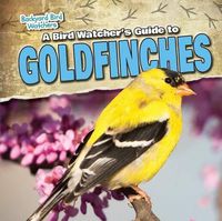 Cover image for A Bird Watcher's Guide to Goldfinches