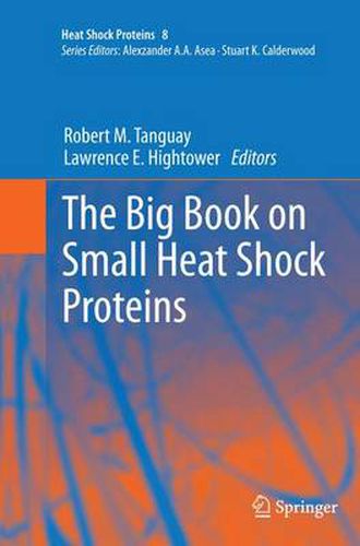 Cover image for The Big Book on Small Heat Shock Proteins