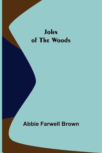 Cover image for John of the Woods