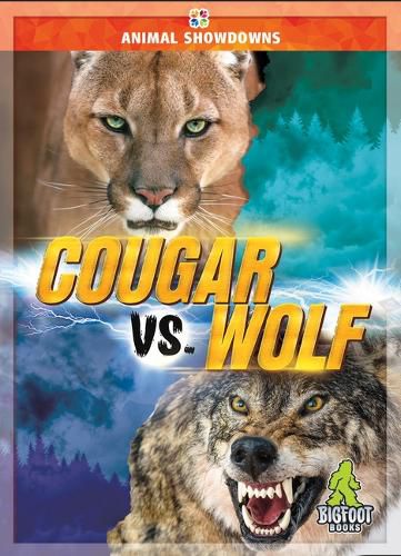 Cover image for Cougar vs. Wolf