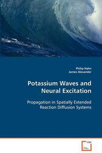 Cover image for Potassium Waves and Neural Excitation