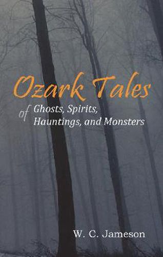 Cover image for Ozark Tales of Ghosts, Spirits, Hauntings and Monsters