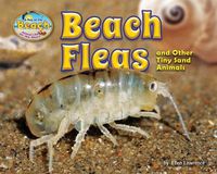 Cover image for Beach Fleas and Other Tiny Sand Animals