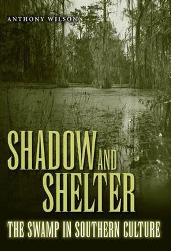 Cover image for Shadow and Shelter