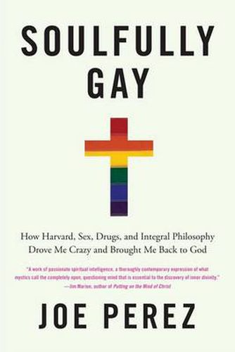 Soulfully Gay: How Harvard, Sex, Drugs, and Integral Philosophy Drove ME Crazy and Brought Me Back to God