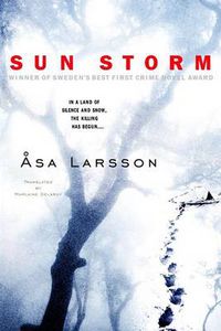 Cover image for Sun Storm