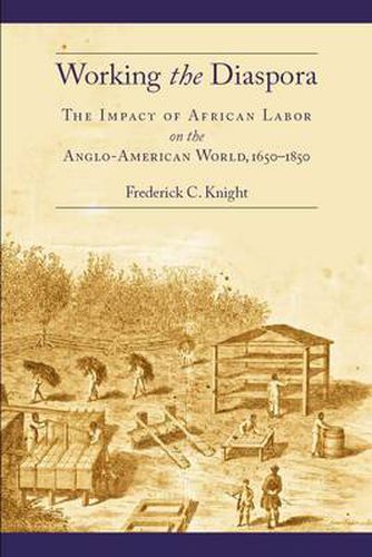 Cover image for Working the Diaspora: The Impact of African Labor on the Anglo-American World, 1650-1850