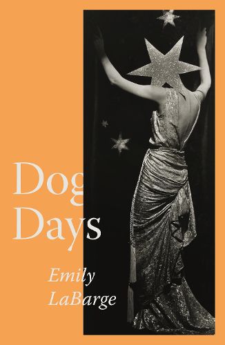 Cover image for Dog Days