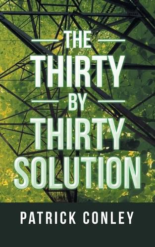 Cover image for The Thirty by Thirty Solution