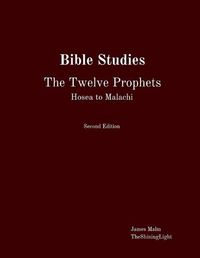 Cover image for Bible Studies The Twelve Prophets Hosea to Malachi
