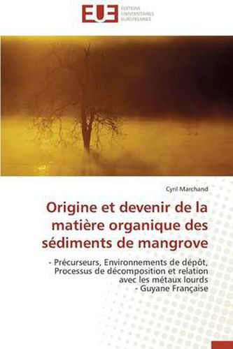 Cover image for Origine Et Devenir de La Matiere Organique Des Sediments de Mangrove